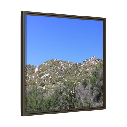 Sparse Vegetation - Unique Stretched Canvas Wall Art