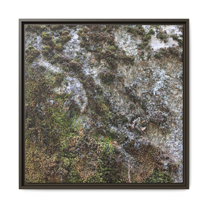 Mossy Whispers - Unique Stretched Canvas Wall Art - Art By Earth