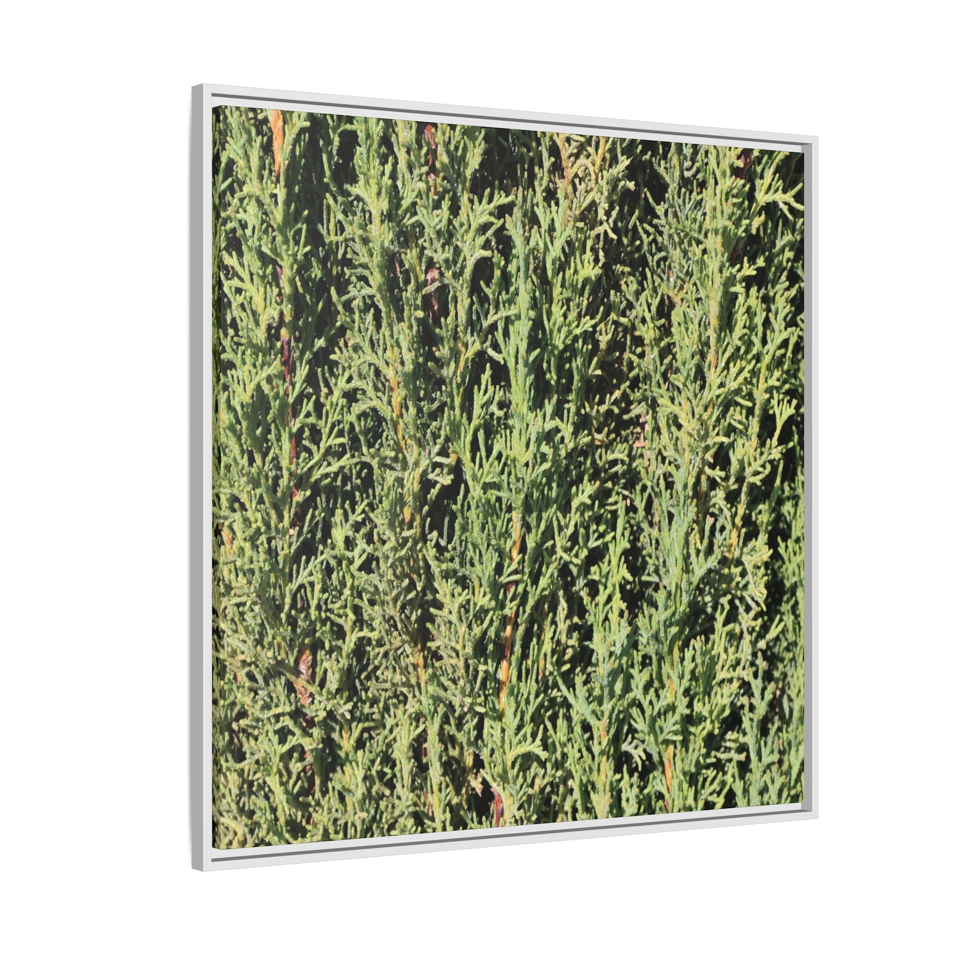 Emerald Labyrinth - Unique Stretched Canvas Wall Art - Art By Earth