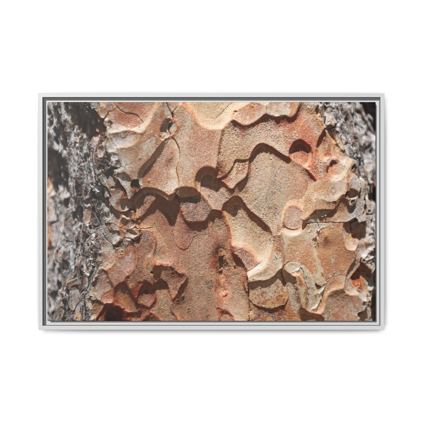 Rust and Stone - Unique Stretched Canvas Wall Art - Art By Earth