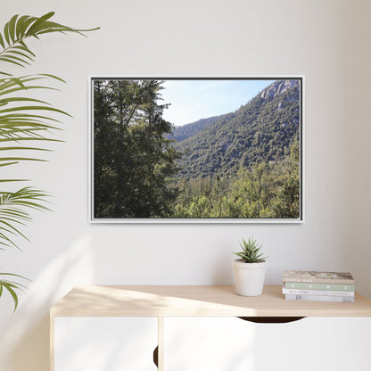 Mountain Valley Forest - Unique Stretched Canvas Wall Art