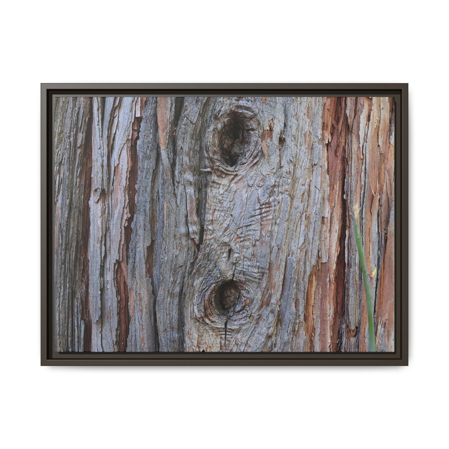 Knotty Nature - Unique Stretched Canvas Wall Art - Art By Earth