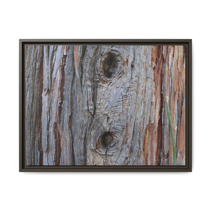Knotty Nature - Unique Stretched Canvas Wall Art - Art By Earth