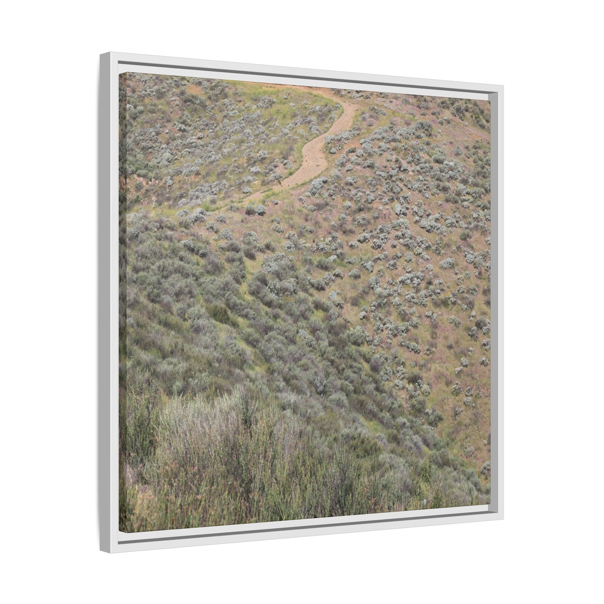 Arid Landscape with Winding Path - Unique Stretched Canvas Wall Art - Art By Earth