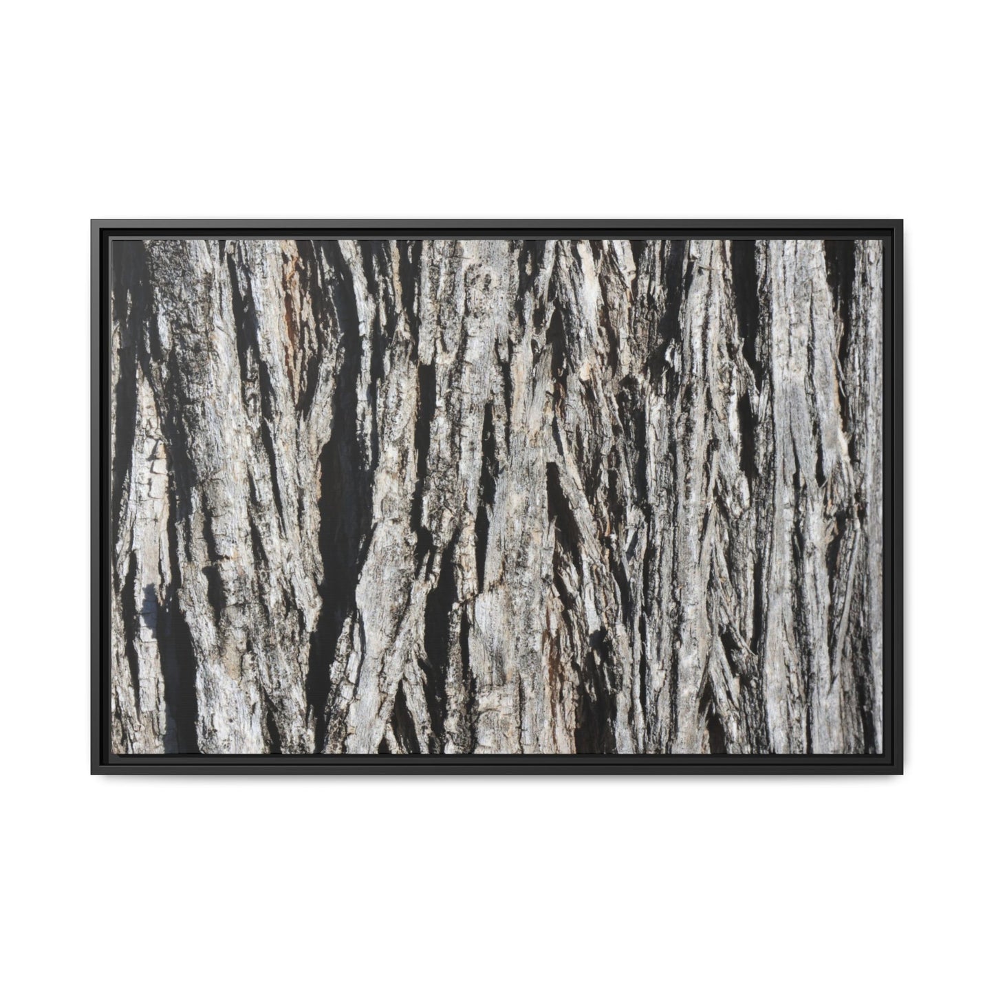 Nature's Abstract - Unique Stretched Canvas Wall Art - Art By Earth