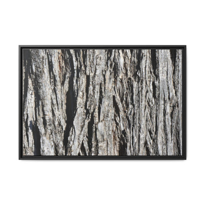 Nature's Abstract - Unique Stretched Canvas Wall Art - Art By Earth