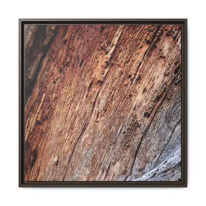 Time's Mark - Unique Stretched Canvas Wall Art - Art By Earth