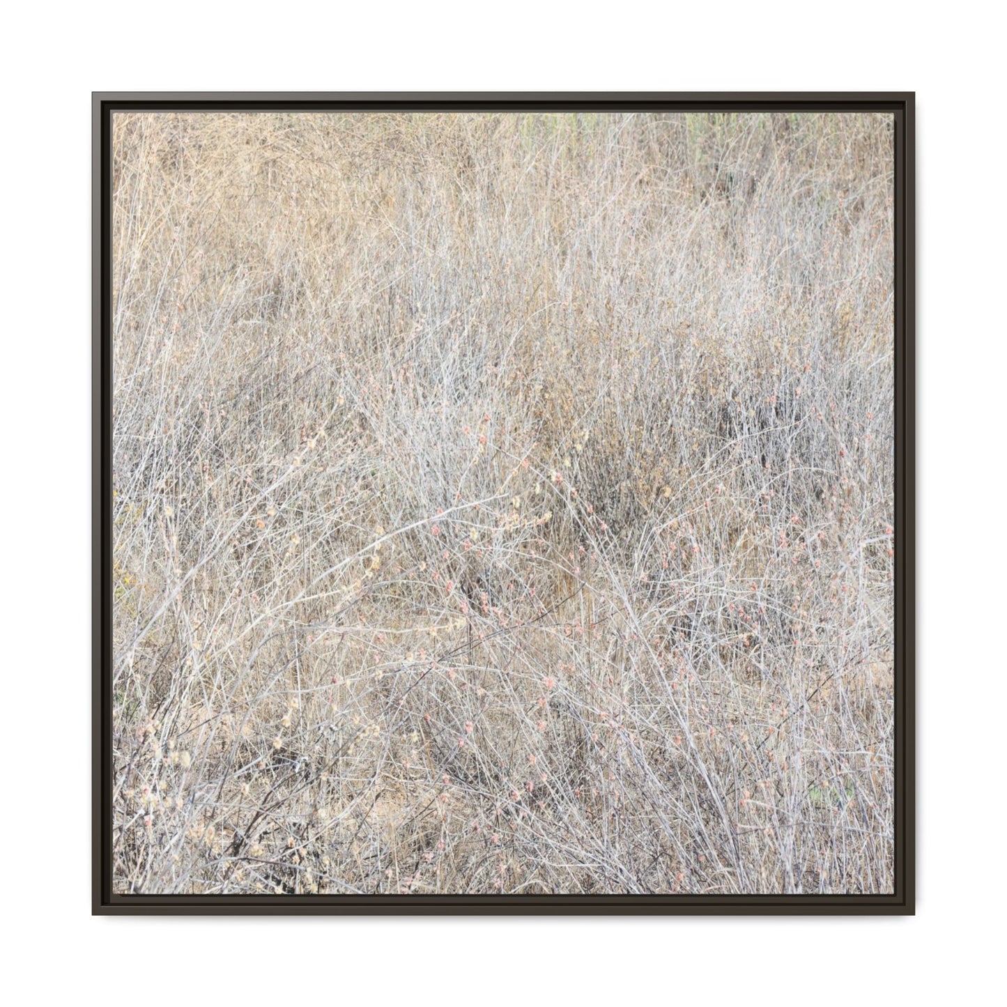 Whispers of Dry Grass - Unique Stretched Canvas Wall Art - Art By Earth