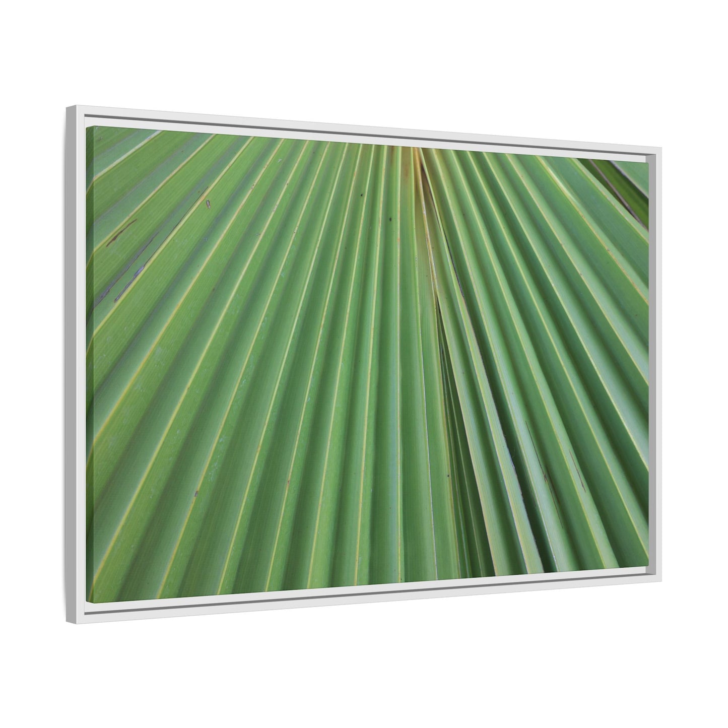 Verdant Veins - Unique Stretched Canvas Wall Art - Art By Earth