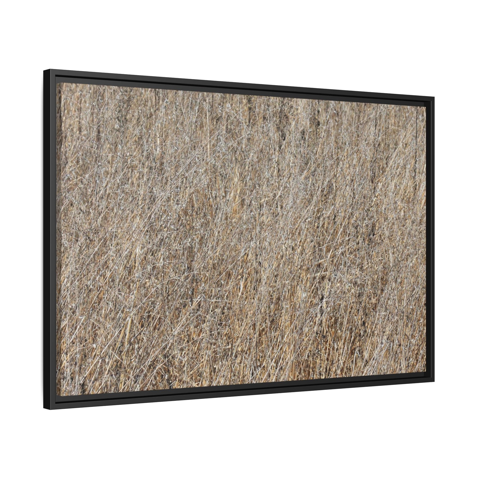 Whispers of Straw - Unique Stretched Canvas Wall Art - Art By Earth