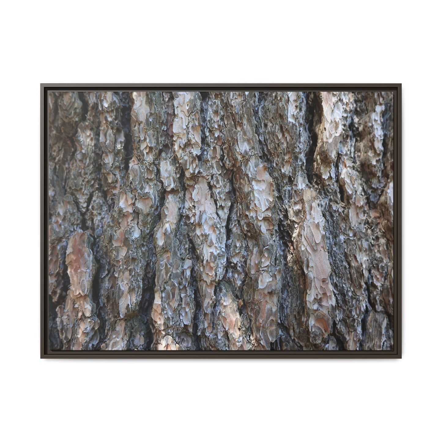 Bark Whispers - Unique Stretched Canvas Wall Art - Art By Earth