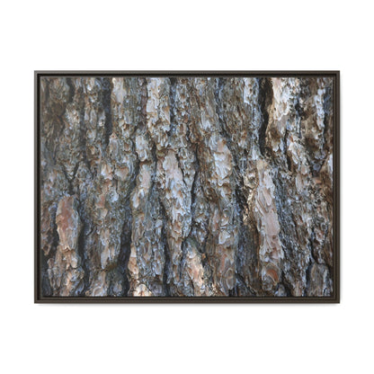 Bark Whispers - Unique Stretched Canvas Wall Art - Art By Earth