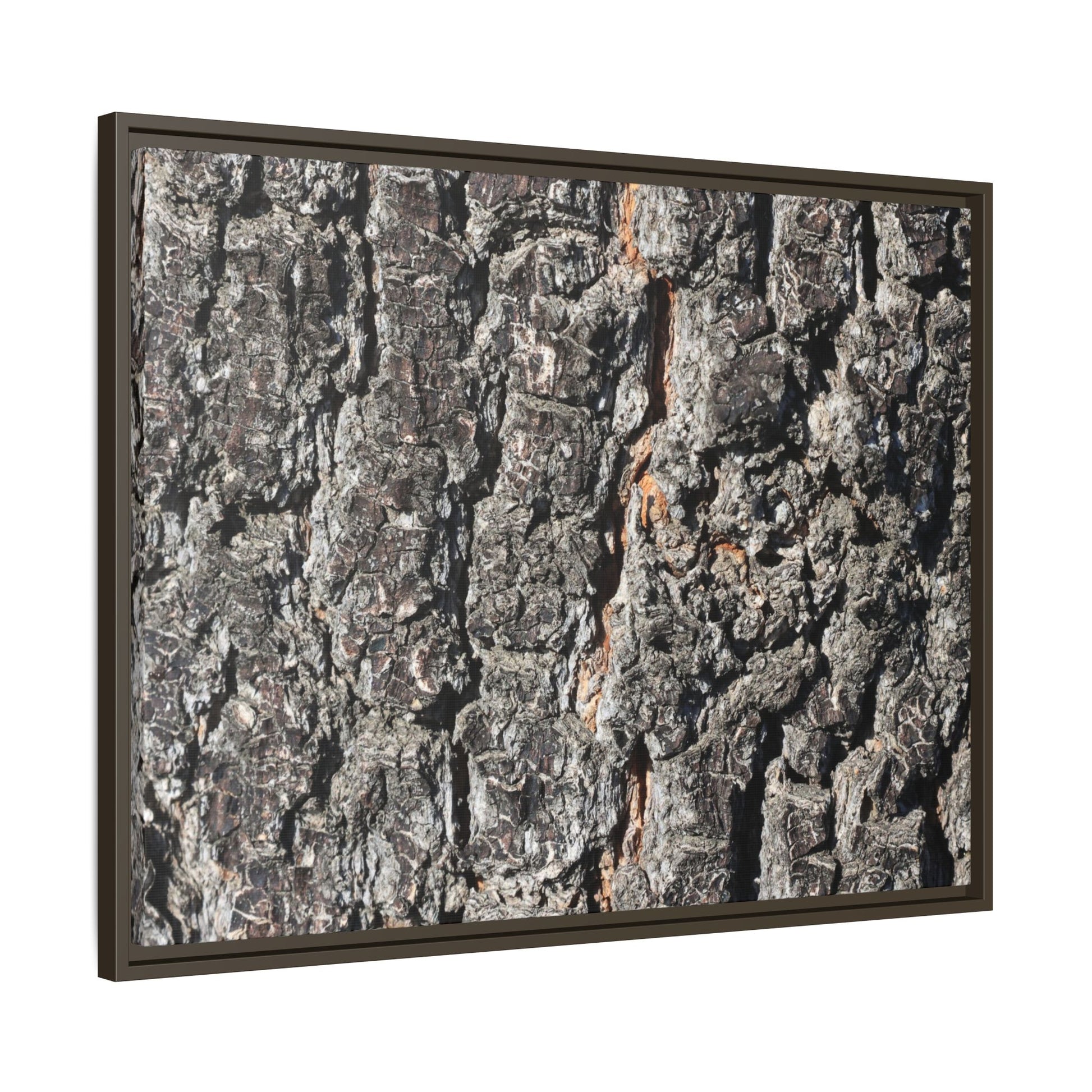 Aged Beauty - Unique Stretched Canvas Wall Art - Art By Earth