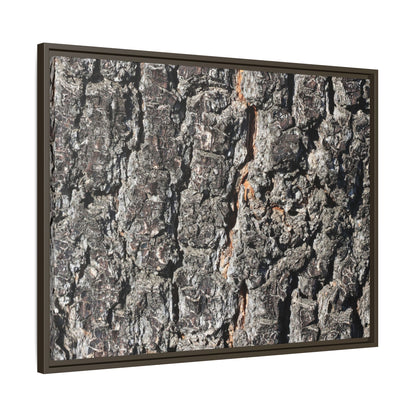 Aged Beauty - Unique Stretched Canvas Wall Art - Art By Earth