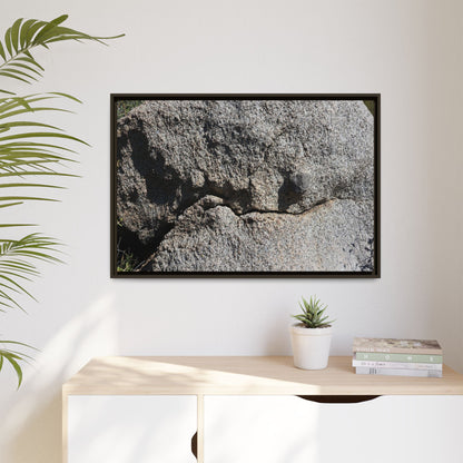 Stone Skull in Desert - Unique Stretched Canvas Wall Art