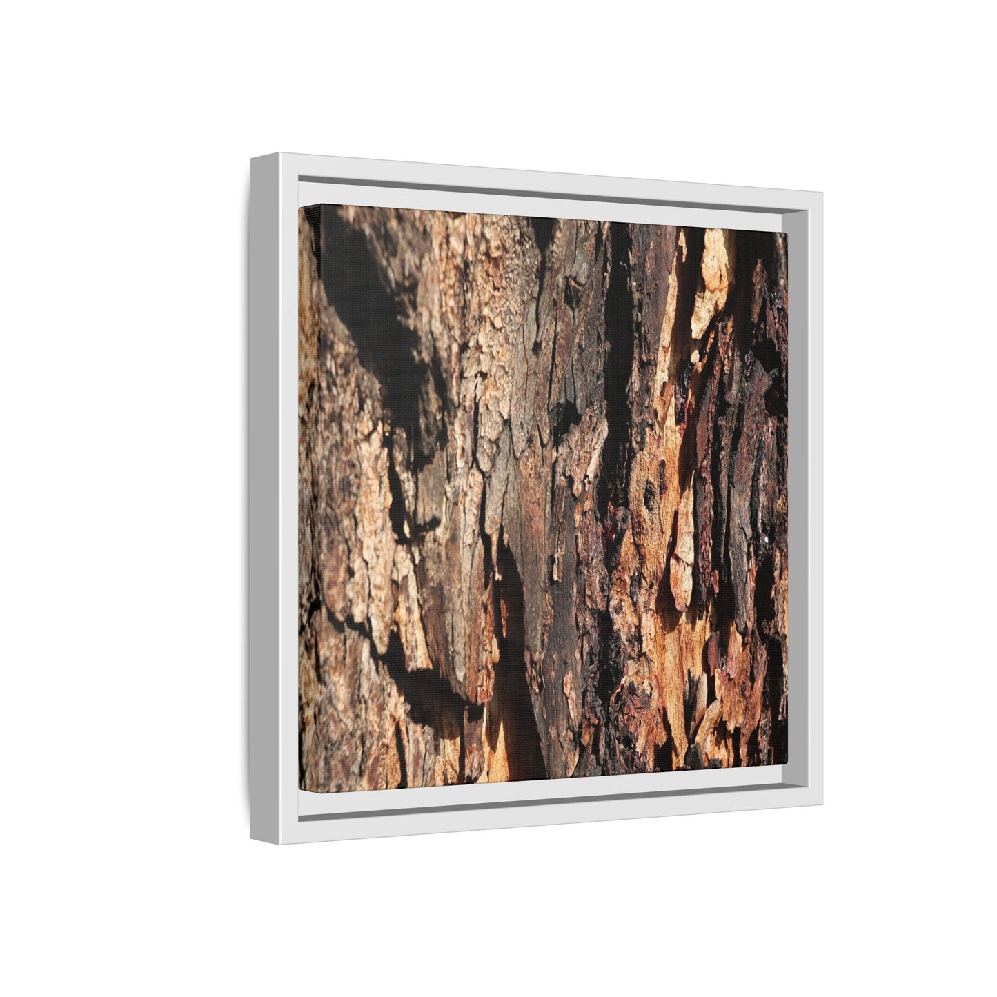 Rugged Beauty - Unique Stretched Canvas Wall Art - Art By Earth