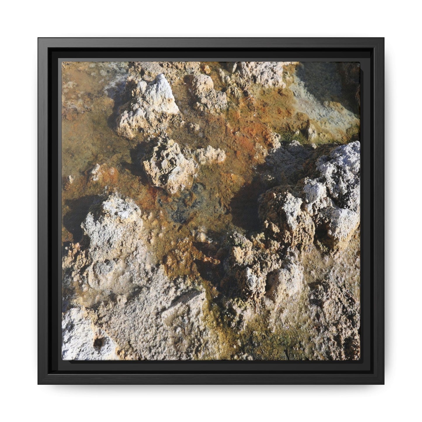 Textural Metamorphosis - Unique Stretched Canvas Wall Art