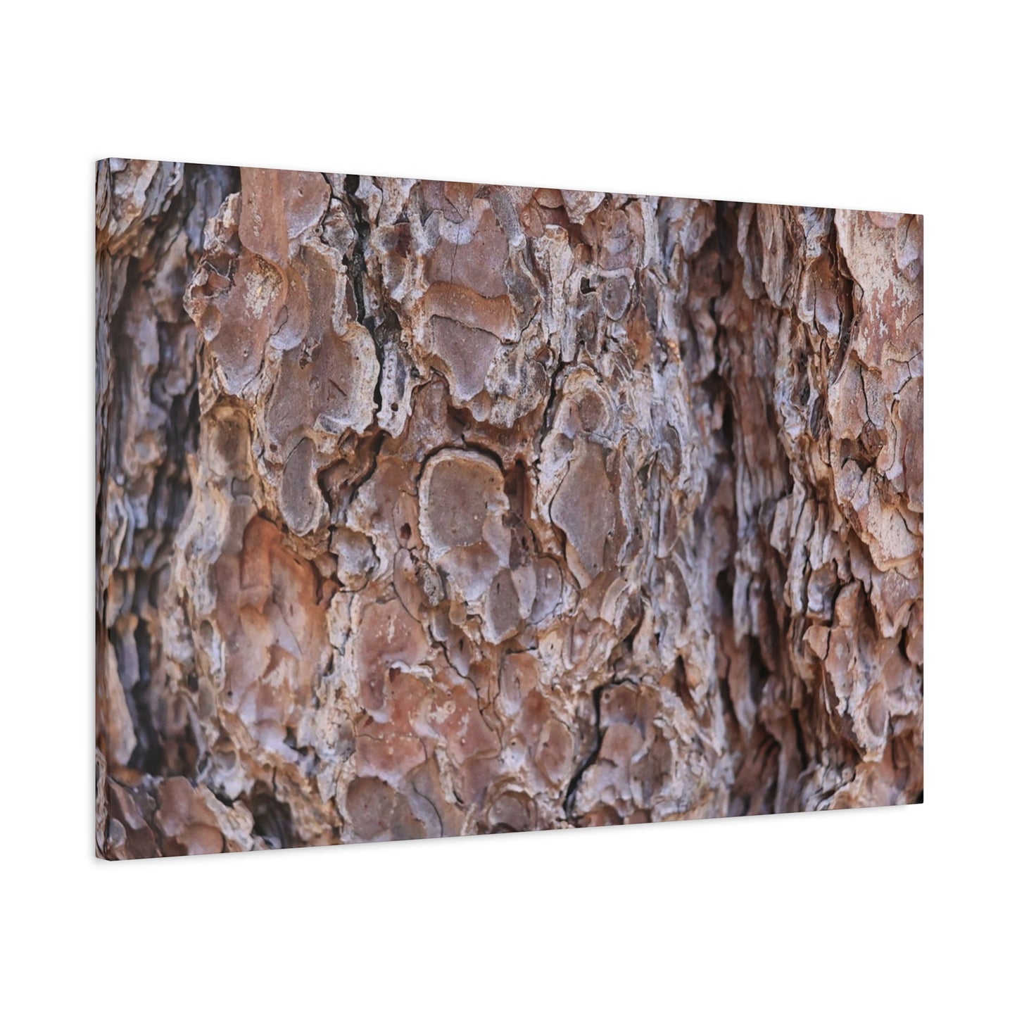 Rugged Bark Landscape - Unique Frameless Canvas Wall Art - Art By Earth