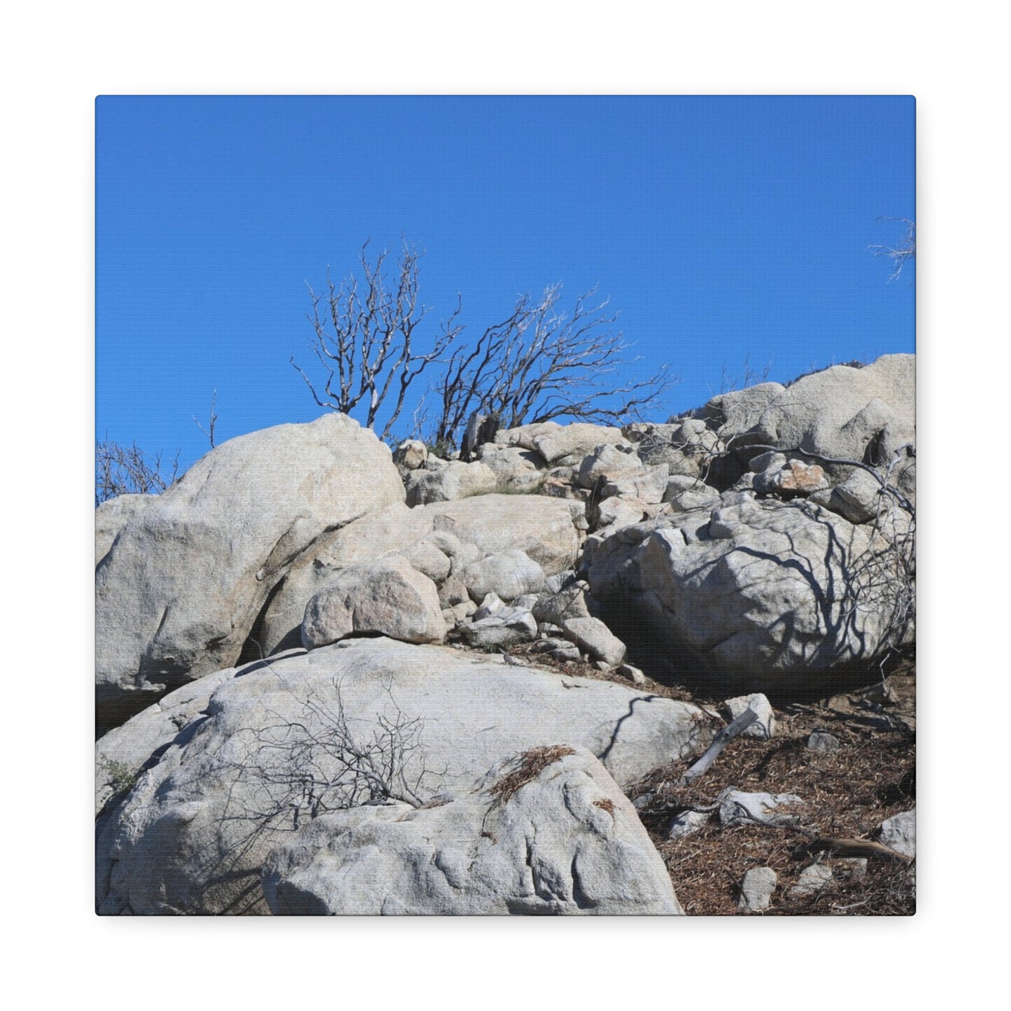 Desert Rocks Under Blue Sky - Unique Frameless Canvas Wall Art - Art By Earth