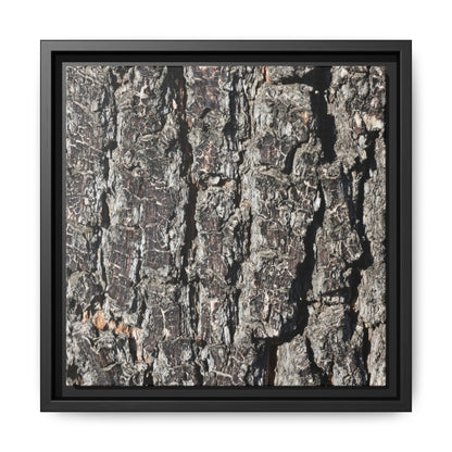 Bark Study in Gray - Unique Stretched Canvas Wall Art - Art By Earth