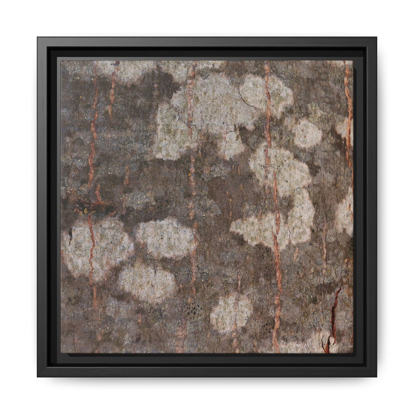 Lichen's Legacy - Unique Stretched Canvas Wall Art - Art By Earth