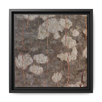 Lichen's Legacy - Unique Stretched Canvas Wall Art - Art By Earth