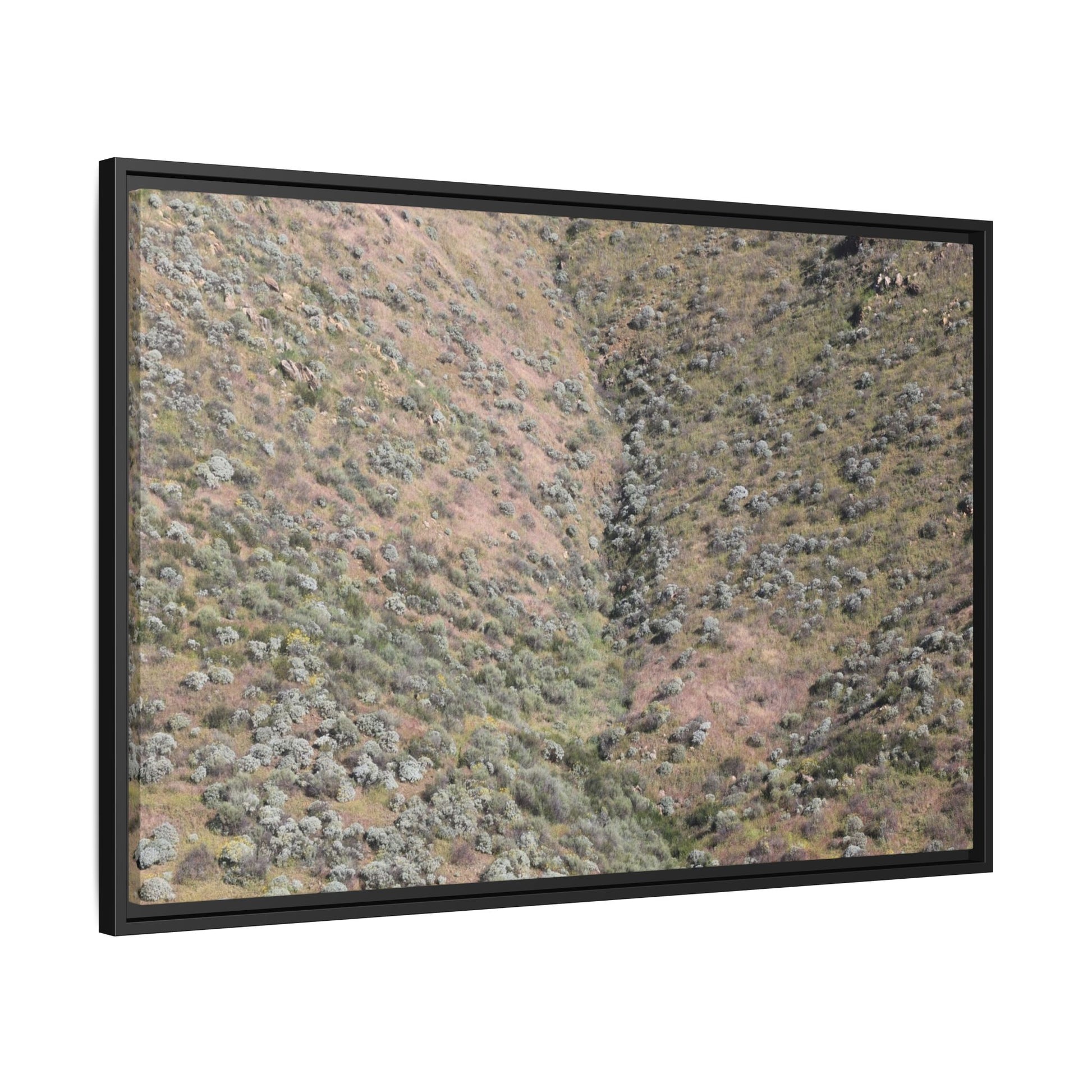 Mountain Slope with Desert Vegetation - Unique Stretched Canvas Wall Art - Art By Earth