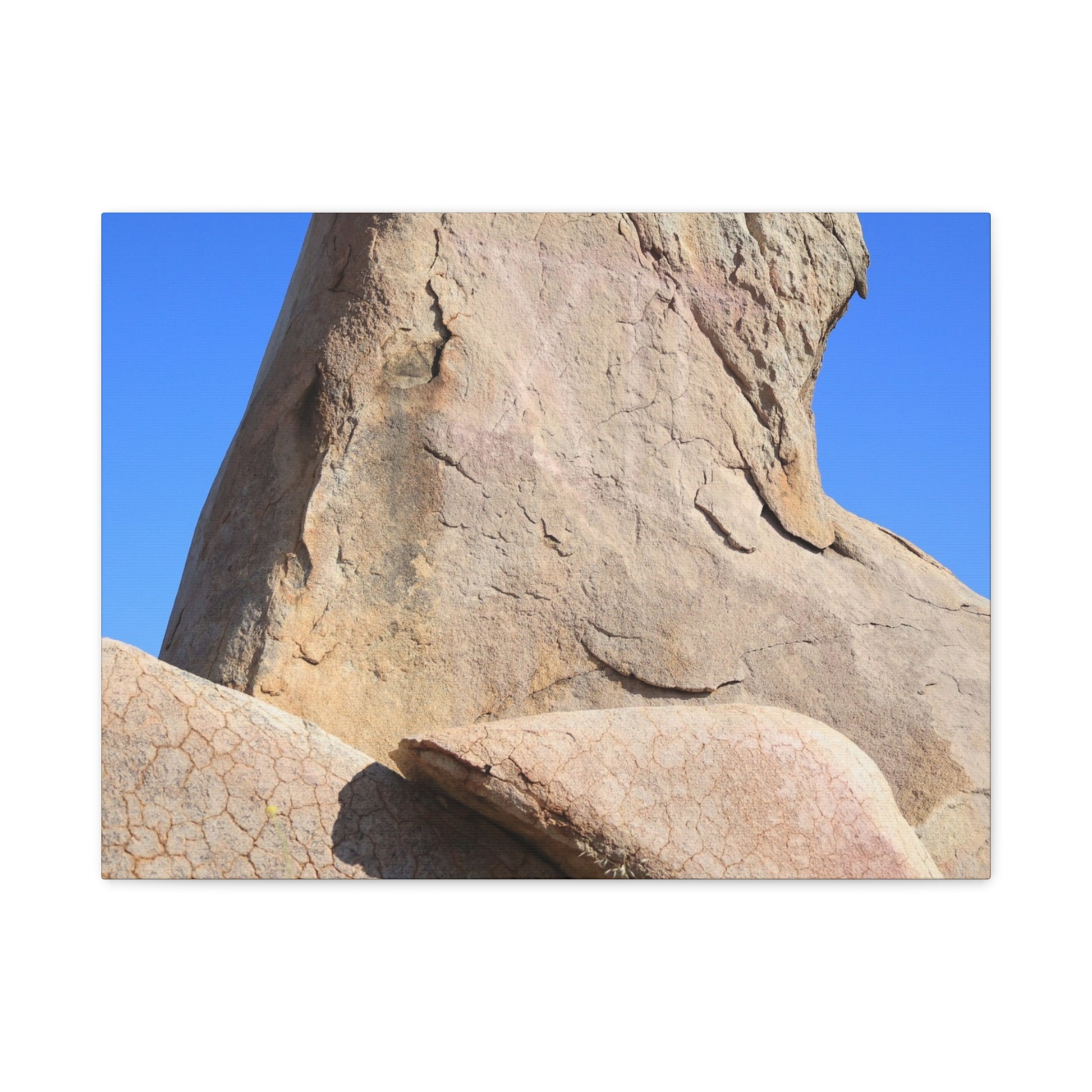 Boulder's Embrace - Unique Frameless Canvas Wall Art - Art By Earth