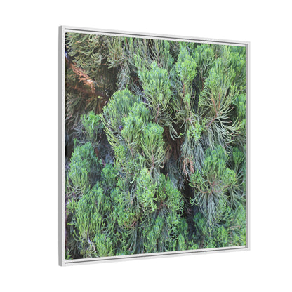 Verdant Whispers - Unique Stretched Canvas Wall Art - Art By Earth