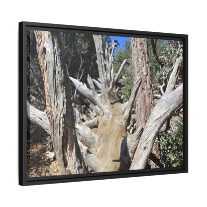 Forest Sentinels - Unique Stretched Canvas Wall Art