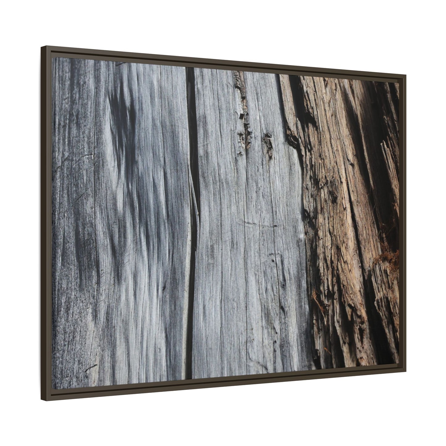 Wood's Lament - Unique Stretched Canvas Wall Art - Art By Earth