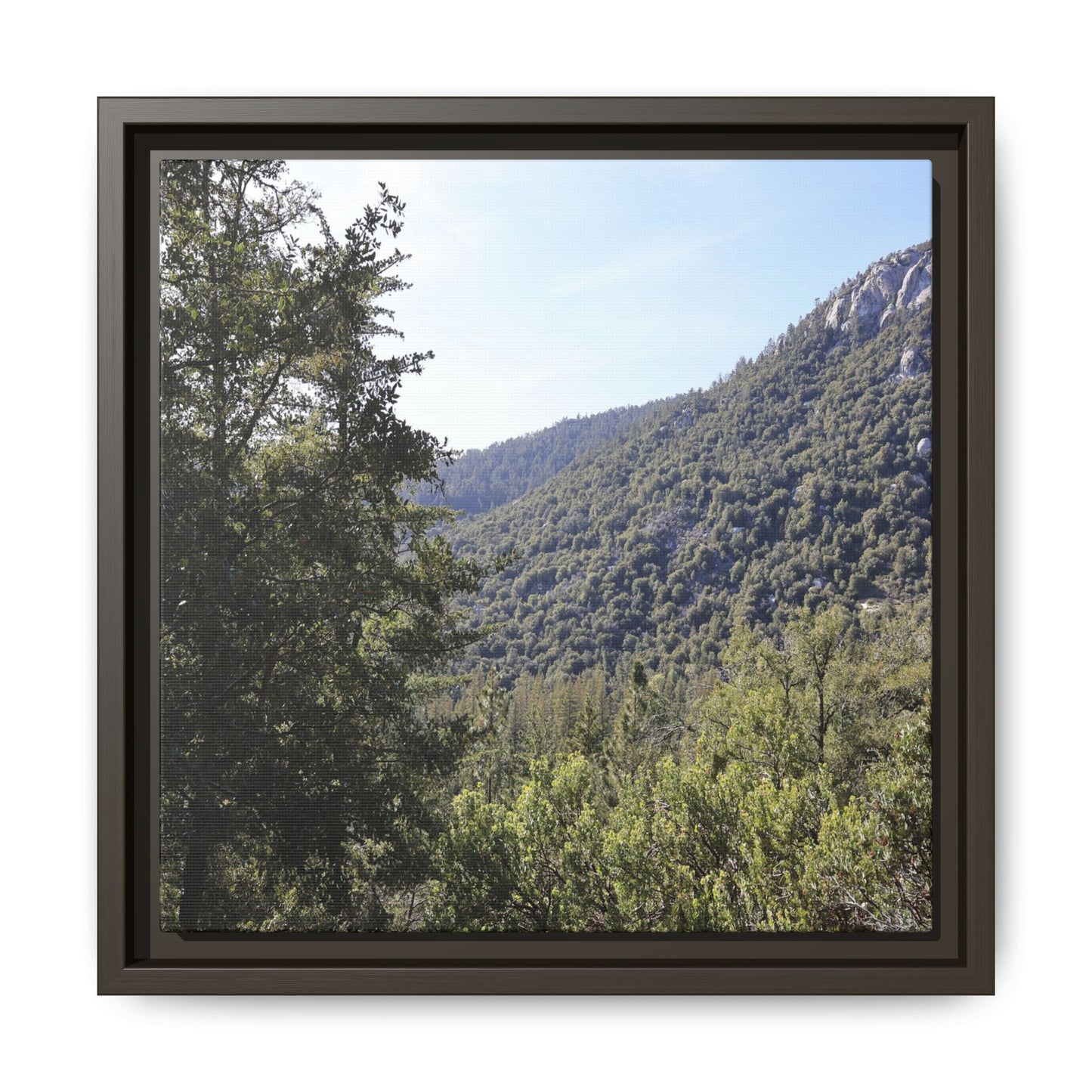Mountain Valley Forest - Unique Stretched Canvas Wall Art