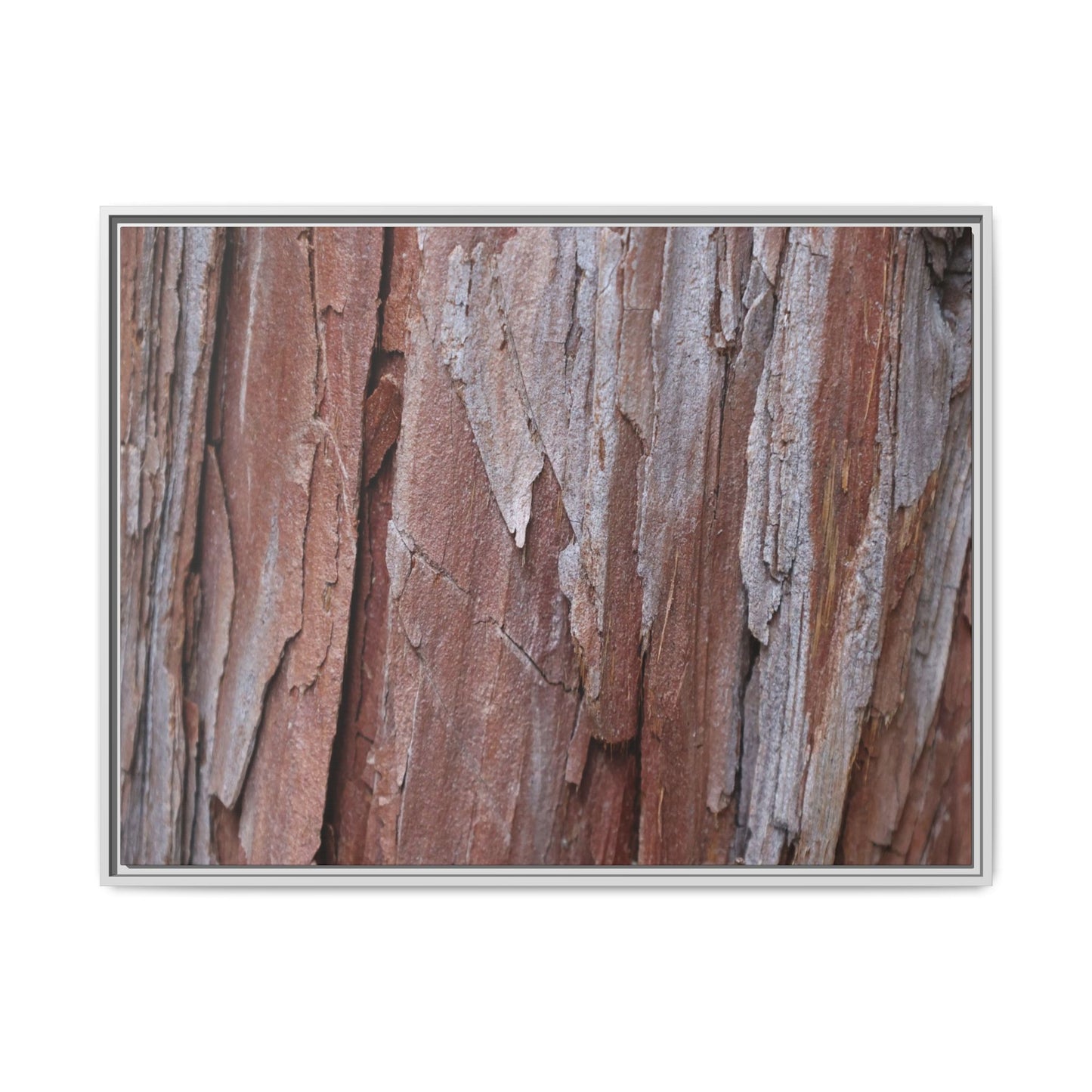 Time and Decay - Unique Stretched Canvas Wall Art - Art By Earth