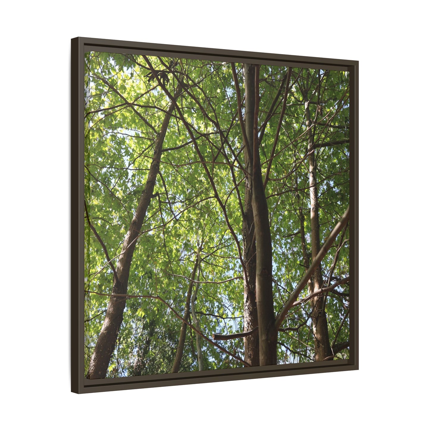 Forest Branches - Unique Stretched Canvas Wall Art