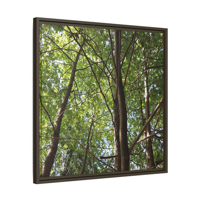 Forest Branches - Unique Stretched Canvas Wall Art