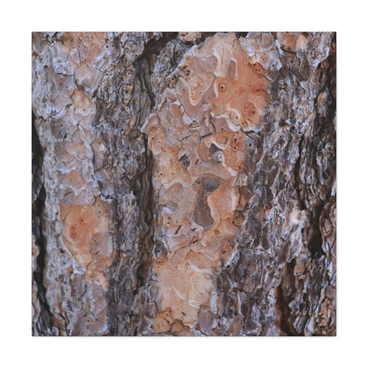 Terracotta Textures - Unique Frameless Canvas Wall Art - Art By Earth