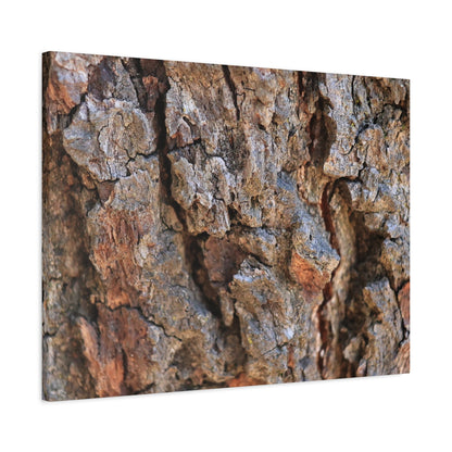 Nature's Skin - Unique Frameless Canvas Wall Art - Art By Earth