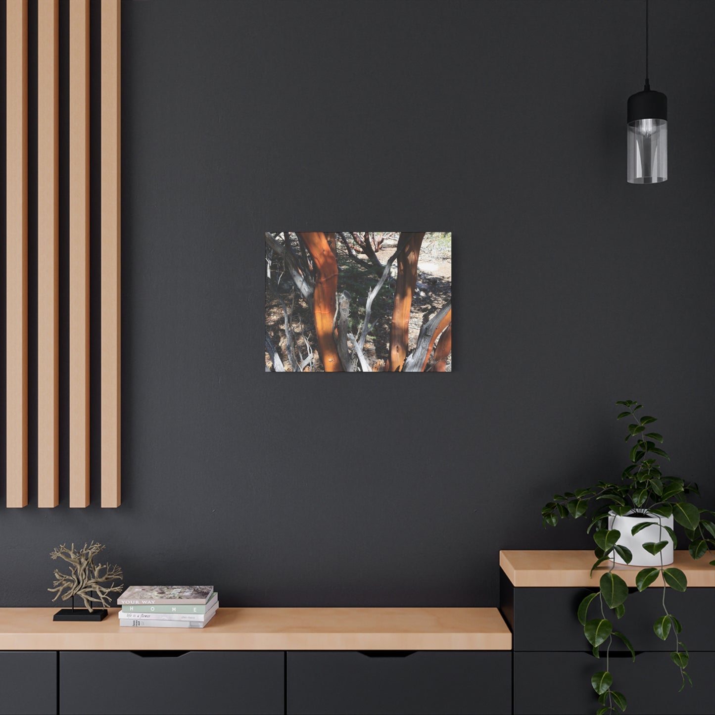 Peeling Bark of Ancient Trees - Unique Frameless Canvas Wall Art