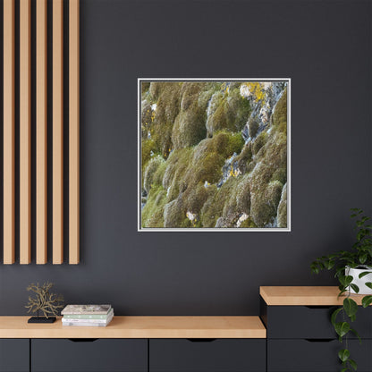 Moss Symphony - Unique Stretched Canvas Wall Art