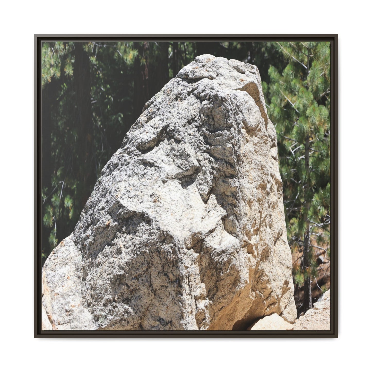 Stone's Silent Whisper - Unique Stretched Canvas Wall Art - Art By Earth