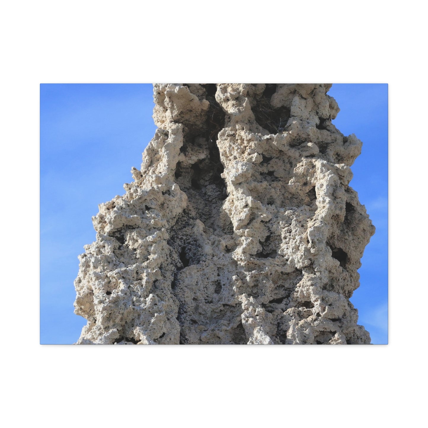 Calcified Whispers - Unique Frameless Canvas Wall Art