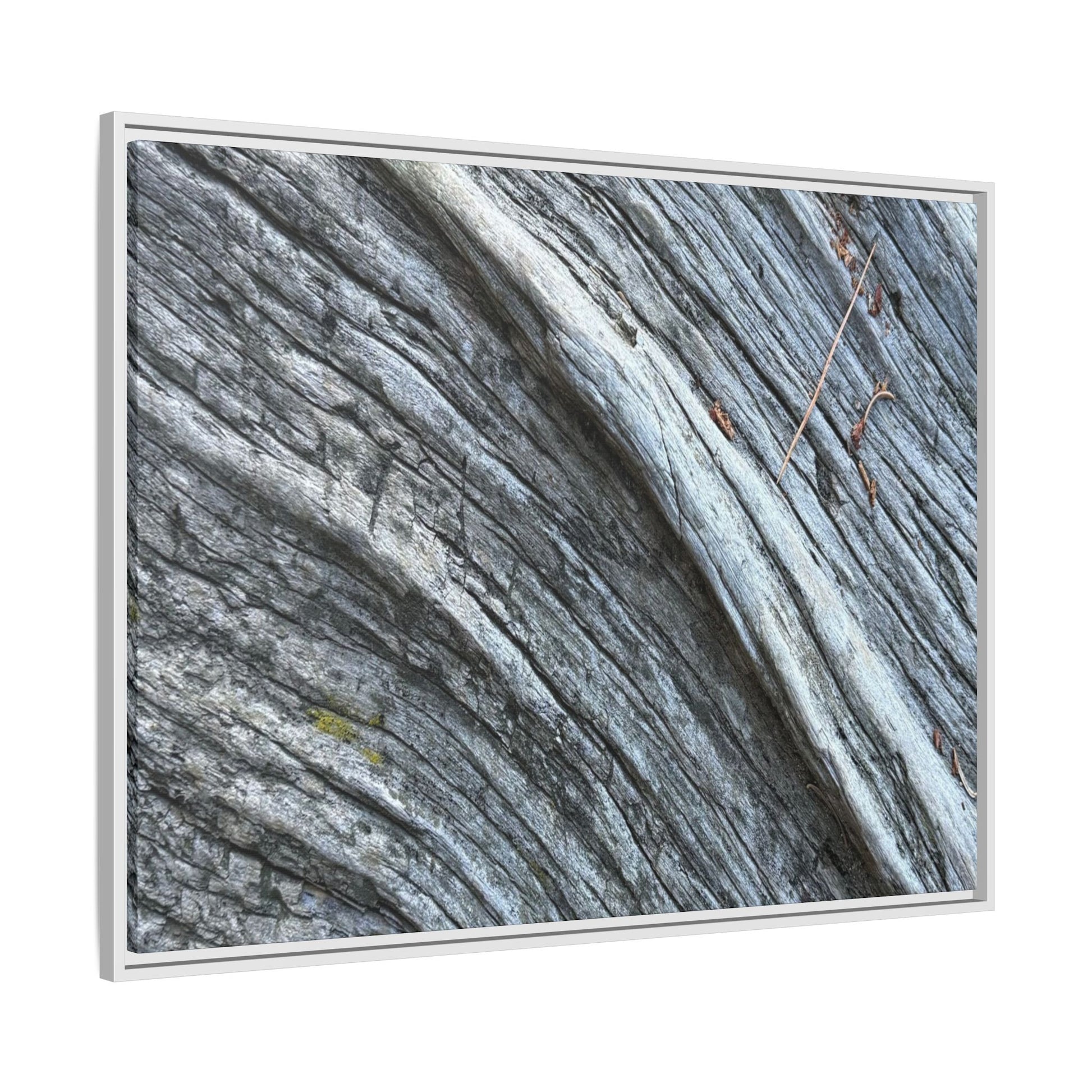 Aged Timber - Unique Stretched Canvas Wall Art - Art By Earth