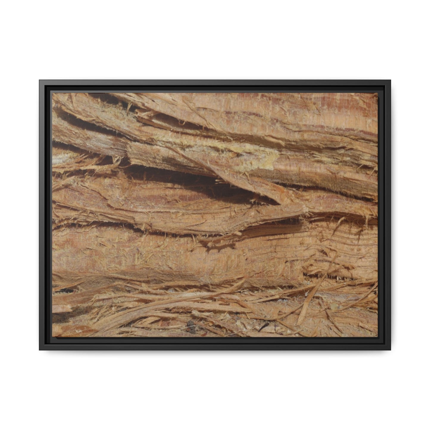 Splintered Bark - Unique Stretched Canvas Wall Art - Art By Earth