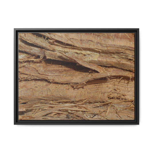 Splintered Bark - Unique Stretched Canvas Wall Art - Art By Earth