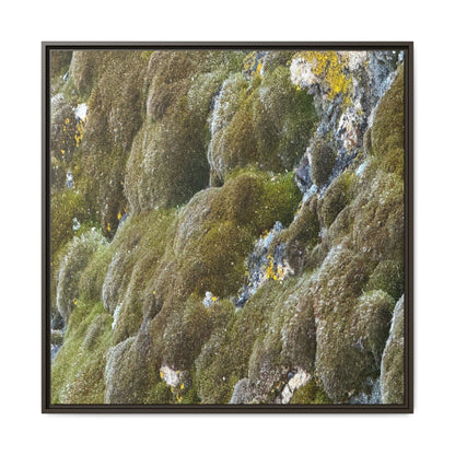 Moss Symphony - Unique Stretched Canvas Wall Art