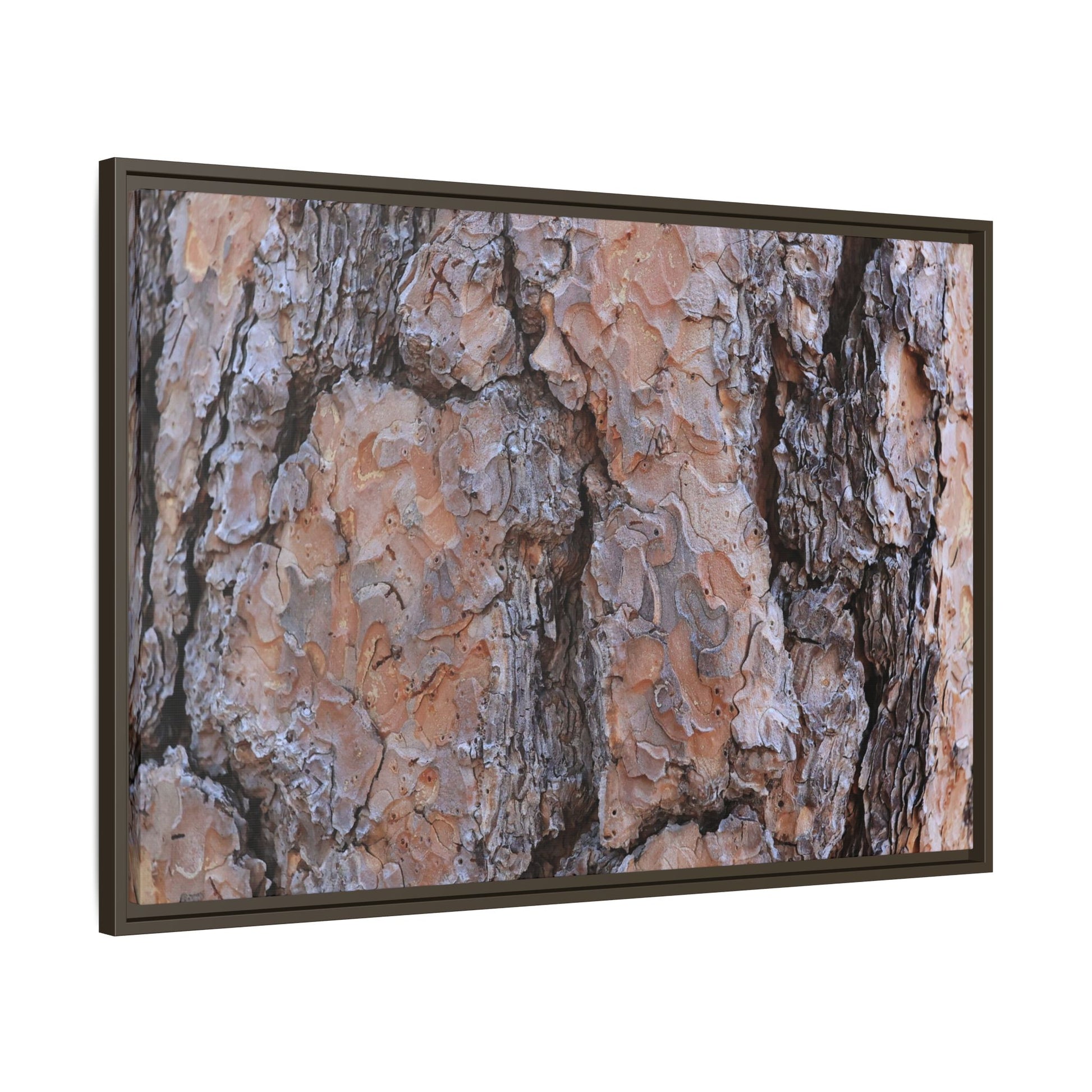 Tree Skin Symphony - Unique Stretched Canvas Wall Art - Art By Earth