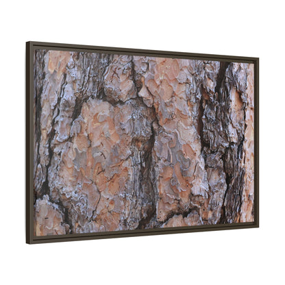 Tree Skin Symphony - Unique Stretched Canvas Wall Art - Art By Earth