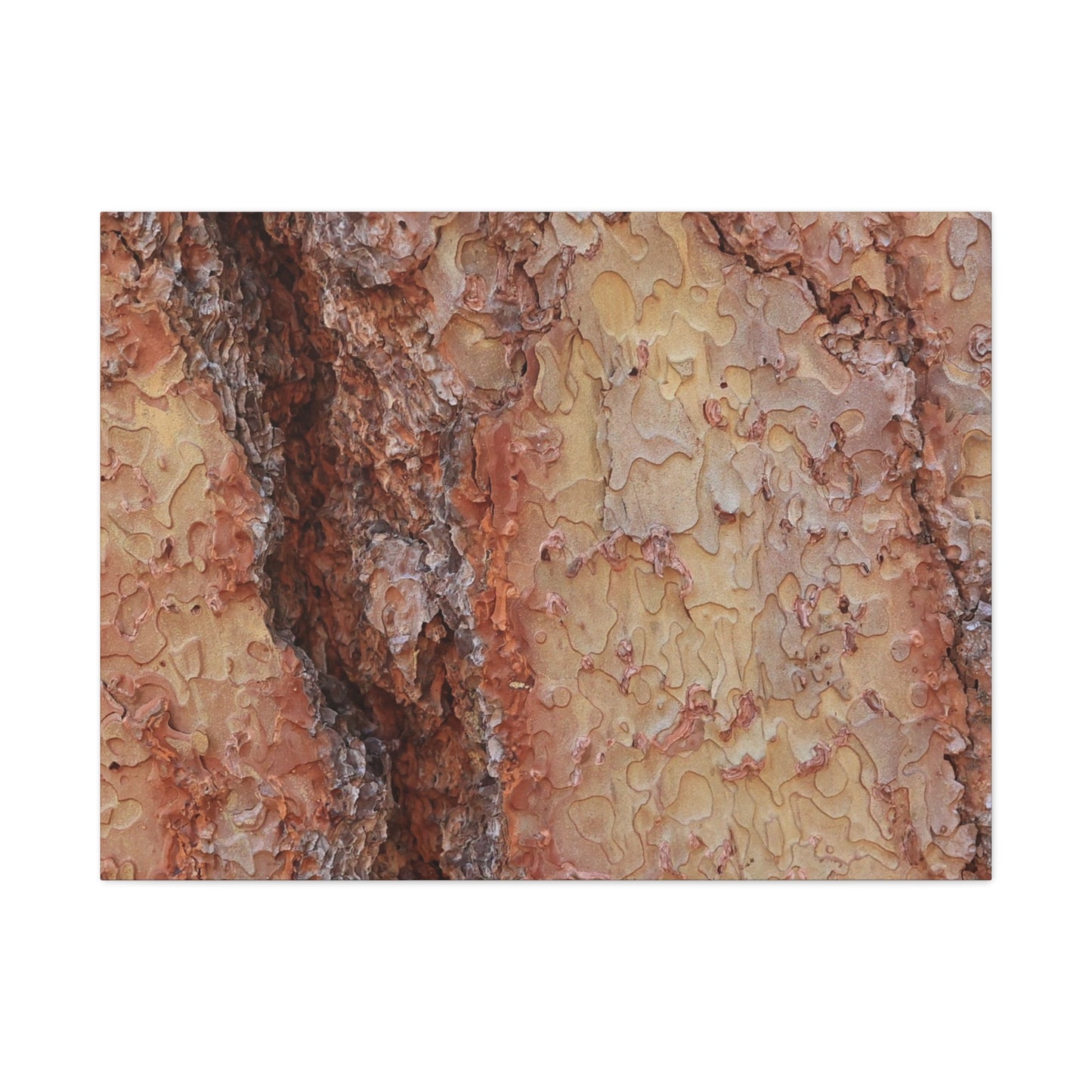 Arboreal Secrets - Unique Frameless Canvas Wall Art - Art By Earth