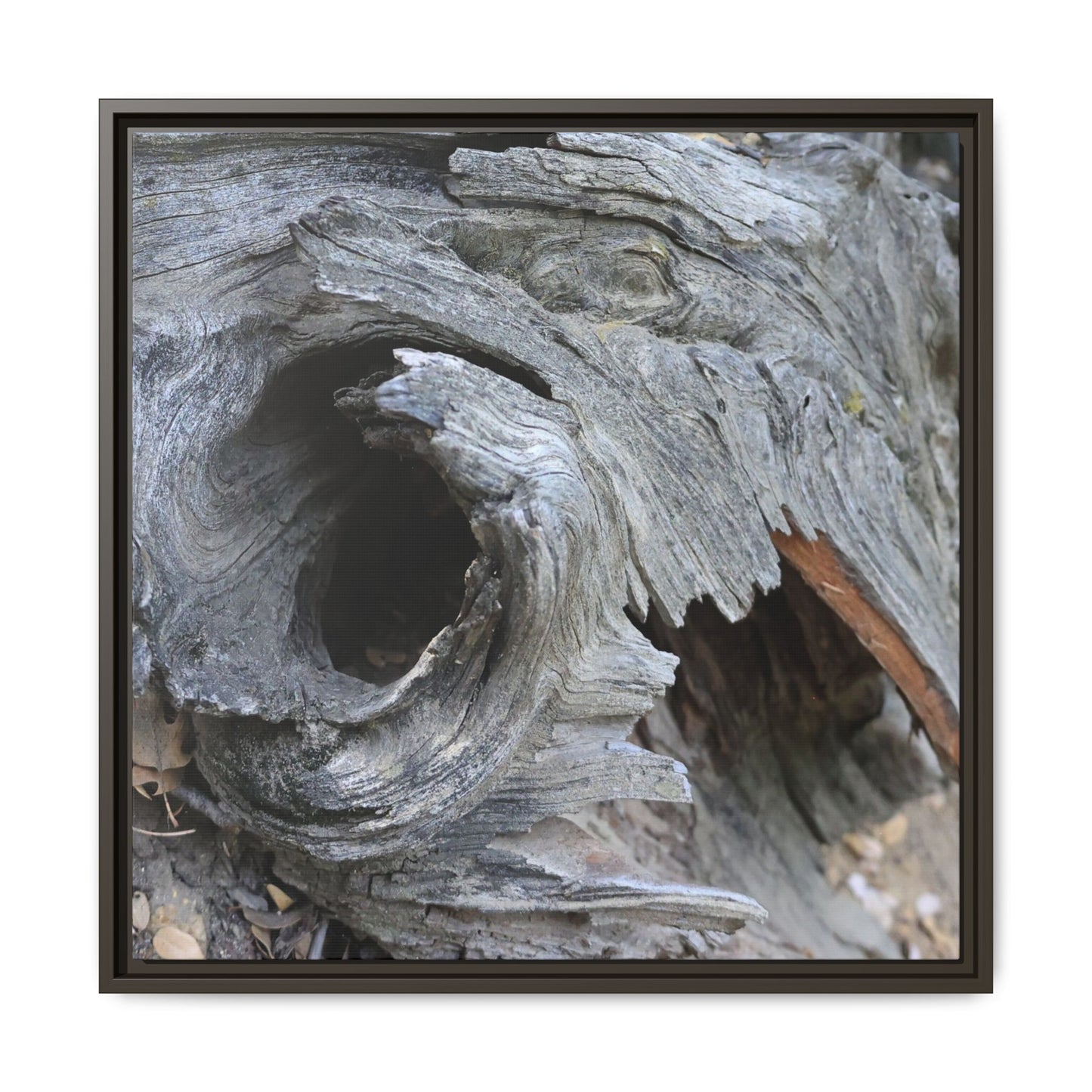 Bark's Labyrinth - Unique Stretched Canvas Wall Art - Art By Earth