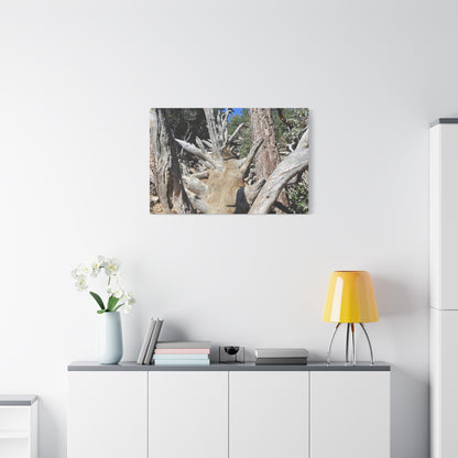 Twisted Roots - Unique Frameless Canvas Wall Art